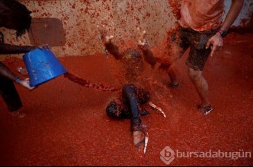 İspanya'da La Tomatina festivalinde 130 ton domates havalarda uçuştu
