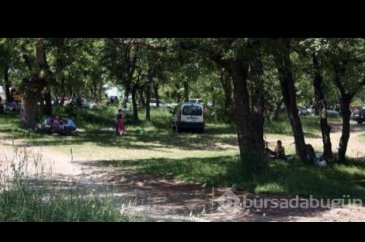 Bursa'da Gezilecek Yerler: Balat Ormanı