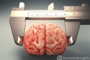  Dünya geneli IQ sıralamasında Türkiye 48. oldu
