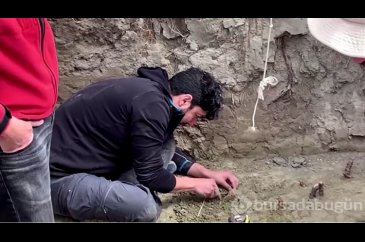 12 bin yıl öncesine ait fil kalıntıları bulundu