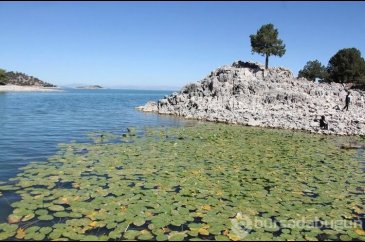 Hacıakif Adası doğa tutkunlarının ilgi odağı oldu
