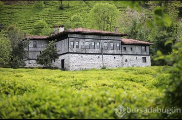 'Rize Çayı'na 98 yıl sonra tescil
