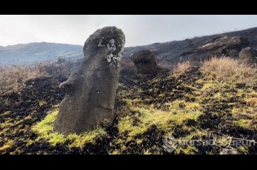 Dünya mirası 500 yıllık Rapa Nui heykelleri yangında onarılamaz has...