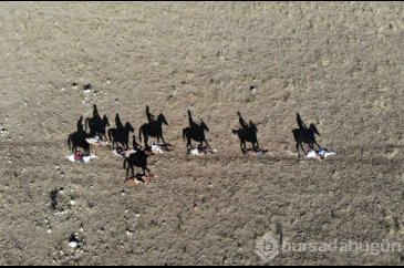 Doğa tutkunları Pülümür Vadisi'ni atlı turlarla geziyor
