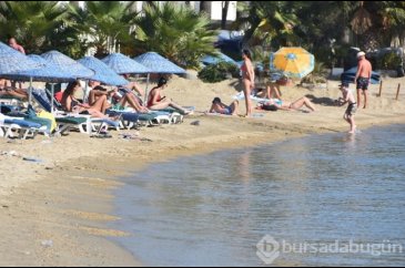 Bodrum'da 'sarı yaz'