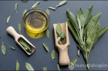 Vücutta biriken toksinleri atıyor! 