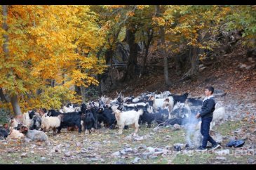 Uludere'den kartpostallık görüntüler 
