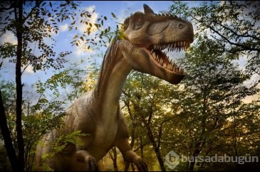 76 milyon yıl önce yaşayan yeni bir dinozor türü keşfedildi