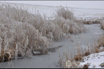 Kars'taki soğuk hava Göl dondurdu