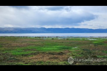 İznik Gölü çekiliyor