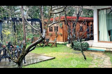 Sezen Aksu'nun stüdyosu dereye kaymaya başladı