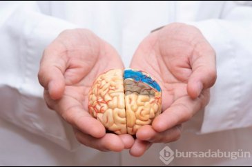 Demans neden kadınlarda daha fazla görülüyor?