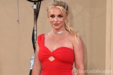 Britney Spears'ın babası ile eski eşi Kevin Federline kitap yazmaya...