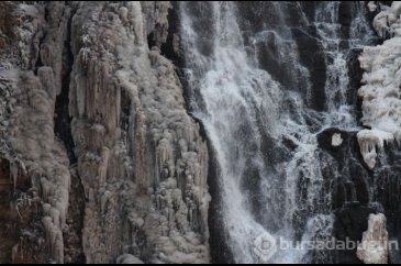Kars'ta 75 metreden akan Susuz Şelalesi donmaya yüz tuttu