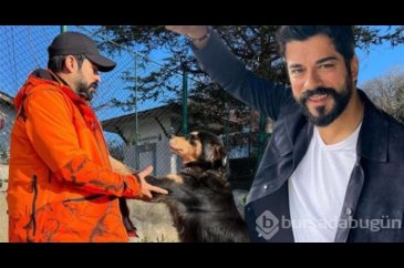 Burak Özçivit sokak köpeklerini unutmadı