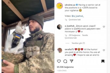 Ukrayna'da kedilerde cephede mücadele ediyor
