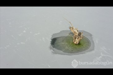 Kars Barajı'nın yüzeyi dondu