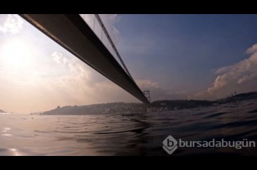İstanbul Boğazı'nda denizanası istilasıyla karşı karşıya
