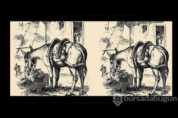 1880'lerin en zor testi, detayı sadece yüzde 1'lik kesim görebiliyor