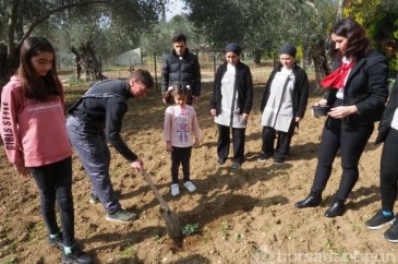 Depremzedeler, konakladıkları otelin bahçesine zeytin fidanı dikti