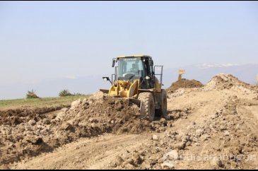 Yönetimler arasında örnek dayanışma