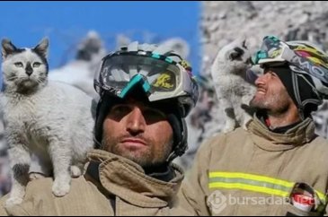Enkaz altından kurtardığı kedinin sahibini bulamayınca sahiplendi!