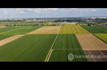 TOKİ Konya arsa kura sonuçları