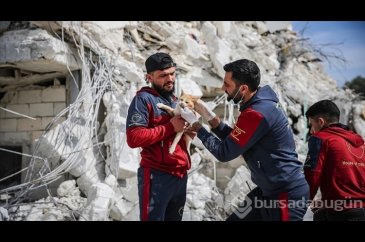 Suriye'de depremlerde yaralanan köpekleri tedavi ediyorlar