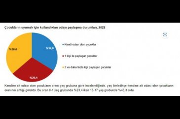 TÜİK, 2022 yılı çocuk araştırması sonuçları