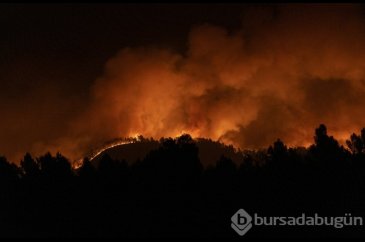 İspanya'da yılın ilk büyük orman yangını