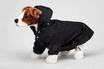 Prada'da13 bin TL'ye köpek yağmurluğu satılıyor