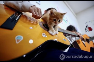 Karamel ile 4 yavrusu öğrencilere neşe kaynağı oldu