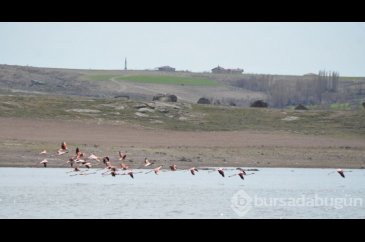 Tuz Gölü'nde renkli görüntüler 