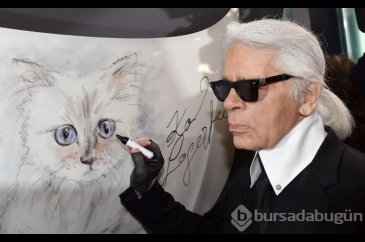 Karl Lagerfeld'in kedisi Met Gala'ya davet edildi
