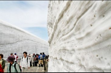 Japonya'da Yuki no Otani adlı dev kar koridoru yeniden ziyarete açı...