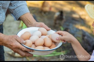 Fazla yumurta tüketmenin 5 tehlikeli yan etkisi
