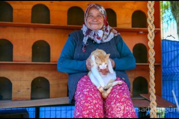 70 yaşındaki kadın 17 yıldır sahipsiz kedilere bakıyor