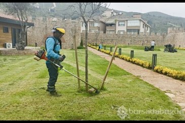 Körfez'de yabani otlar temizleniyor
