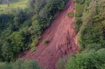 Trabzon'da korkutan anlar! Çay bahçesinde yaşandı
