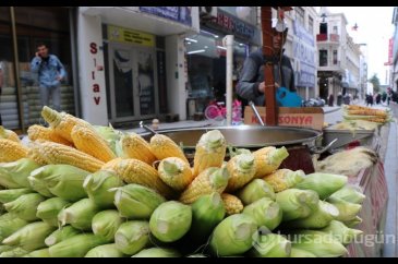 Süt mısırları tezgaha indi