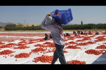 Mevsimlik işçinin hakları nedir?