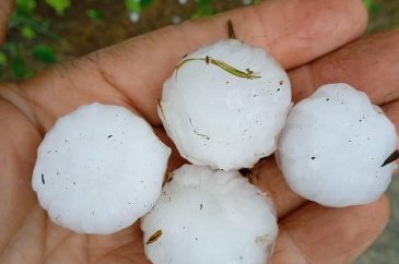 Trabzon'da dolu yağışı etkili oldu