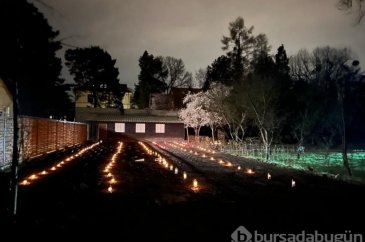 Polonya'da bir villanın bahçesinde 128 kişilik toplu mezar bulundu