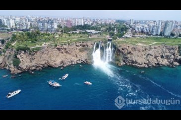 Akdeniz'de fok yuvasına tekne turu tehlikesi