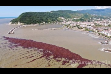 Karadeniz, Kahvedeniz oldu... Sel felaketi