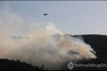 Hatay'da yangın mücadelesi