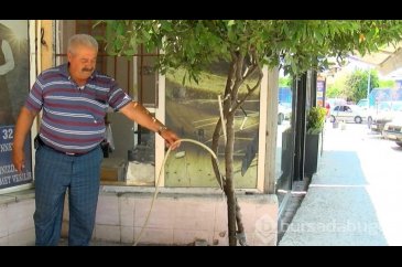 Arnavutköy'de mahalleli balık kokulu sudan isyan etti
