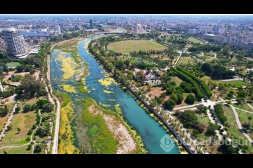Seyhan Nehri yosunla kaplandı