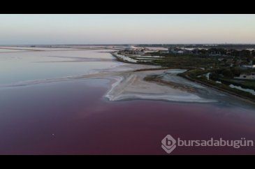 Fransa'da gölün rengi pembe oldu