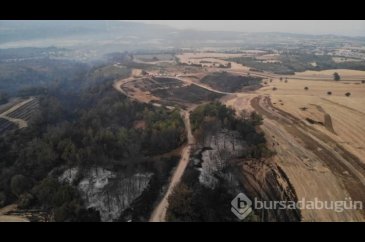 Çanakkale'de yanan alanlar havadan görüntülendi